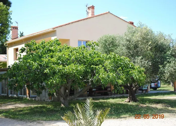 Mas De La Vignassa Le Soler